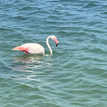Sea View - La Manga del Mar Menor