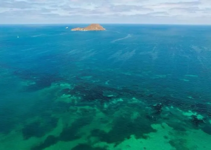 Sea View - Апартаменты *