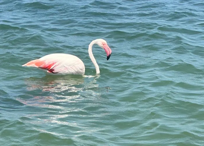 Sea View - Ла-Манга-дель-Мар-Менор