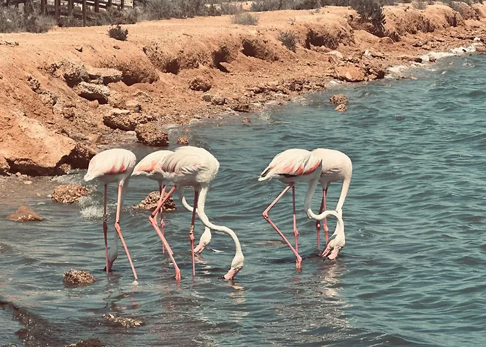 Διαμέρισμα Sea View -