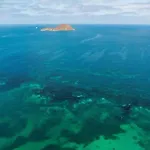 Sea View - شقة *